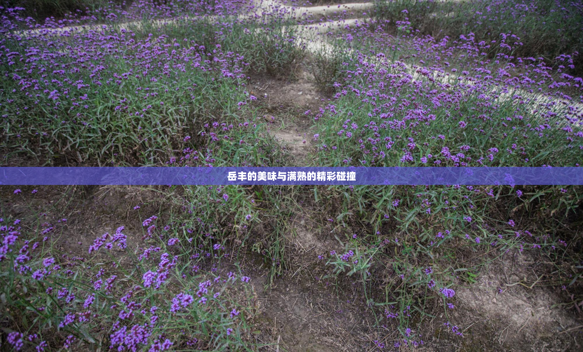 岳丰的美味与满熟的精彩碰撞