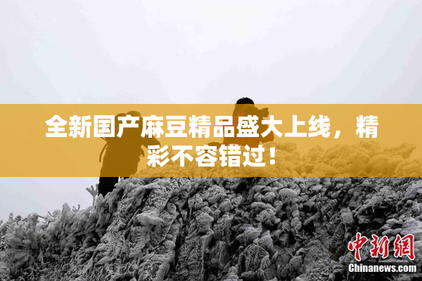 全新国产麻豆精品盛大上线，精彩不容错过！