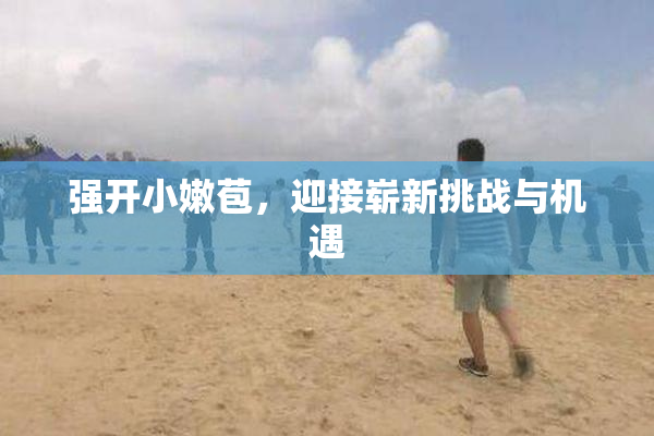 强开小嫩苞，迎接崭新挑战与机遇