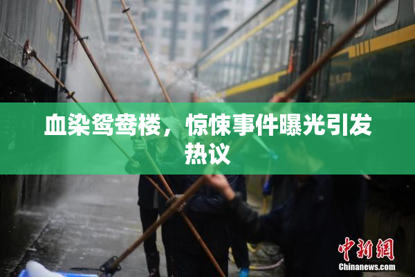 血染鸳鸯楼，惊悚事件曝光引发热议