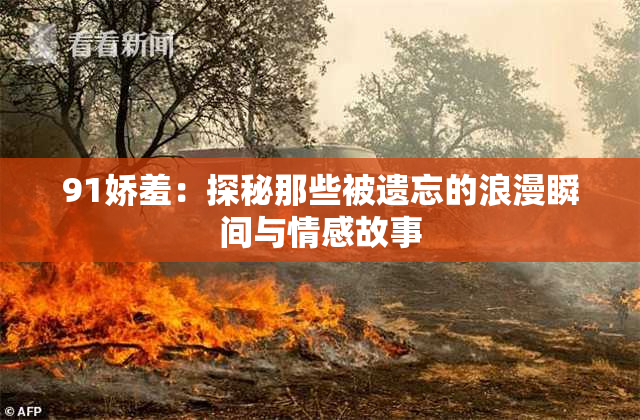 91娇羞：探秘那些被遗忘的浪漫瞬间与情感故事