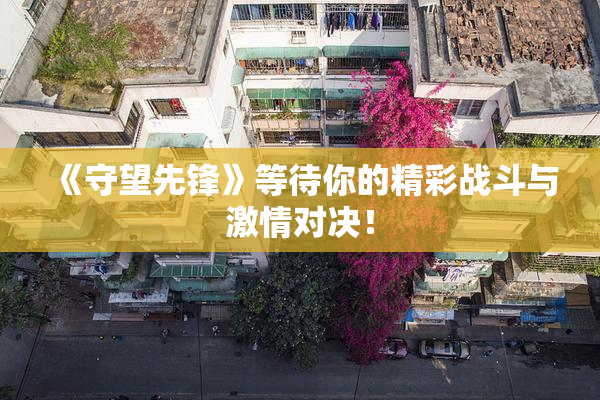 《守望先锋》等待你的精彩战斗与激情对决！