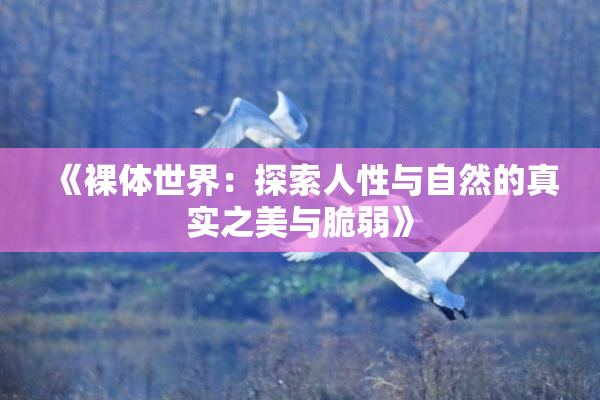 《裸体世界：探索人性与自然的真实之美与脆弱》