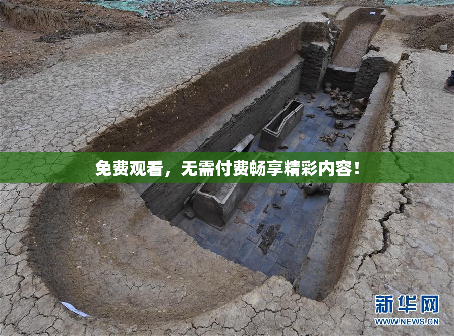 免费观看，无需付费畅享精彩内容！