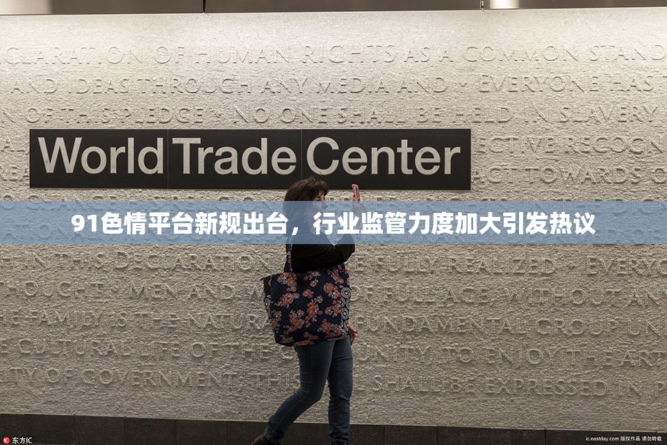 91色情平台新规出台，行业监管力度加大引发热议