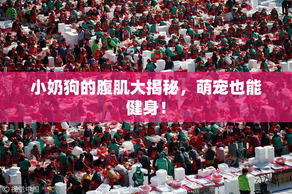 小奶狗的腹肌大揭秘，萌宠也能健身！