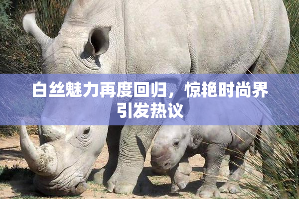 白丝魅力再度回归，惊艳时尚界引发热议