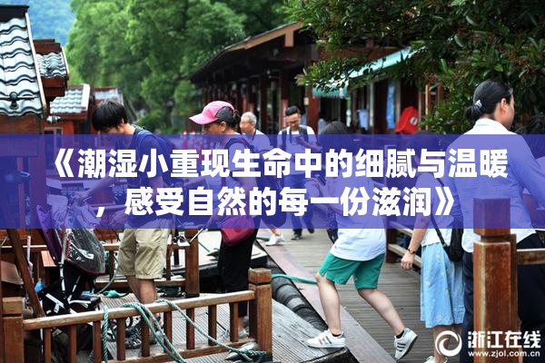 《潮湿小重现生命中的细腻与温暖，感受自然的每一份滋润》