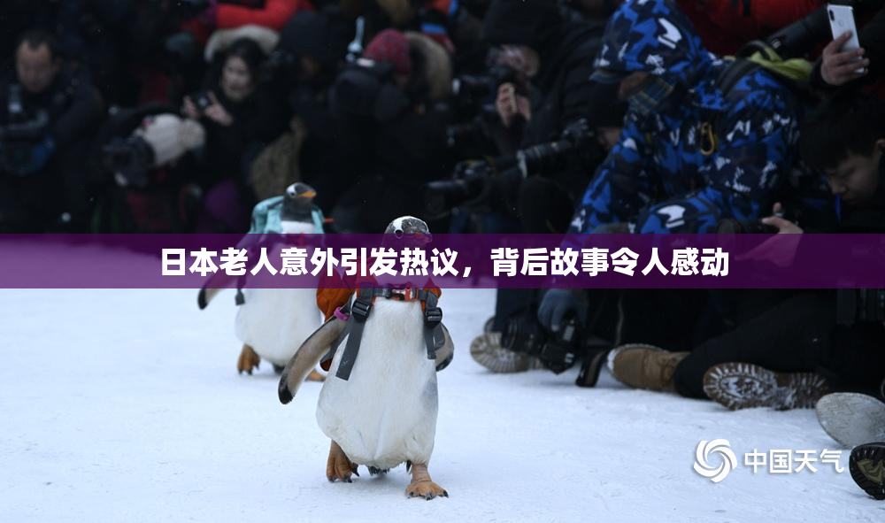日本老人意外引发热议，背后故事令人感动