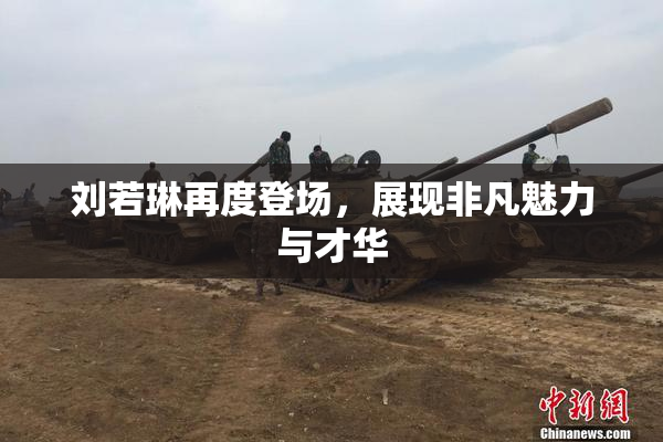 刘若琳再度登场，展现非凡魅力与才华