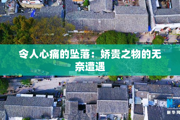 令人心痛的坠落：娇贵之物的无奈遭遇