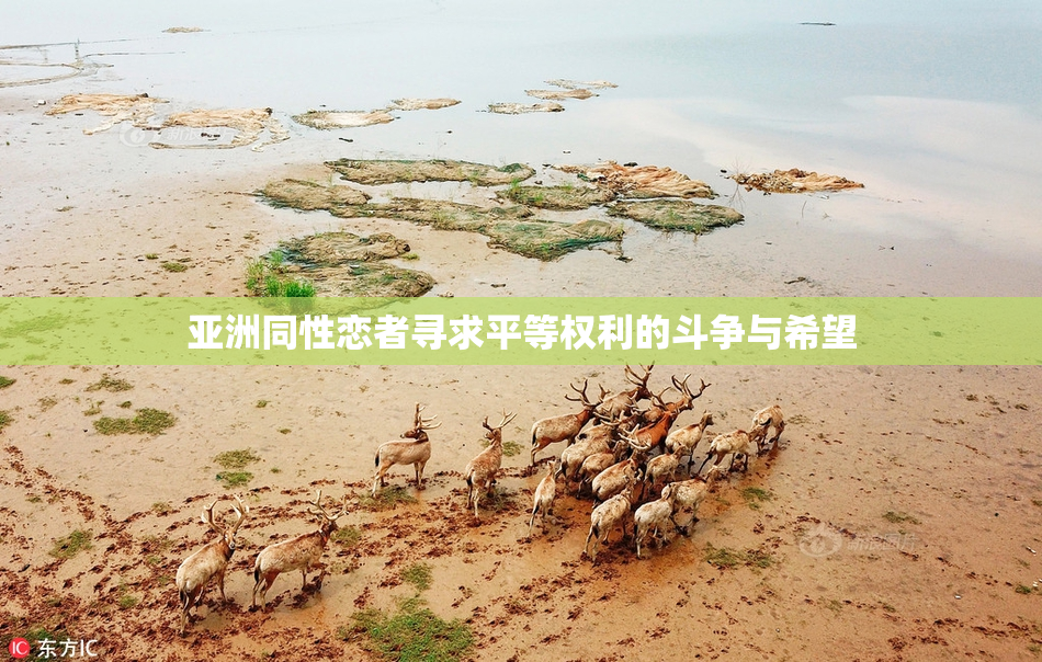 亚洲同性恋者寻求平等权利的斗争与希望