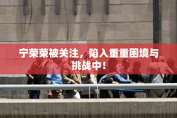 宁荣荣被关注，陷入重重困境与挑战中！