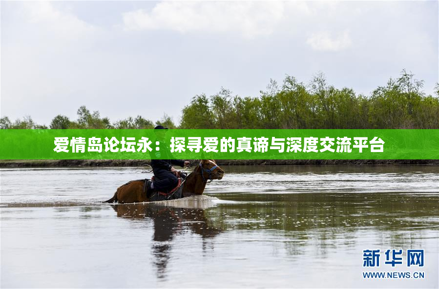 爱情岛论坛永：探寻爱的真谛与深度交流平台