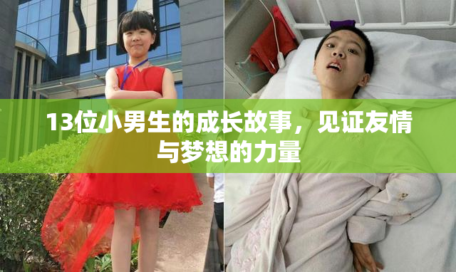 13位小男生的成长故事，见证友情与梦想的力量