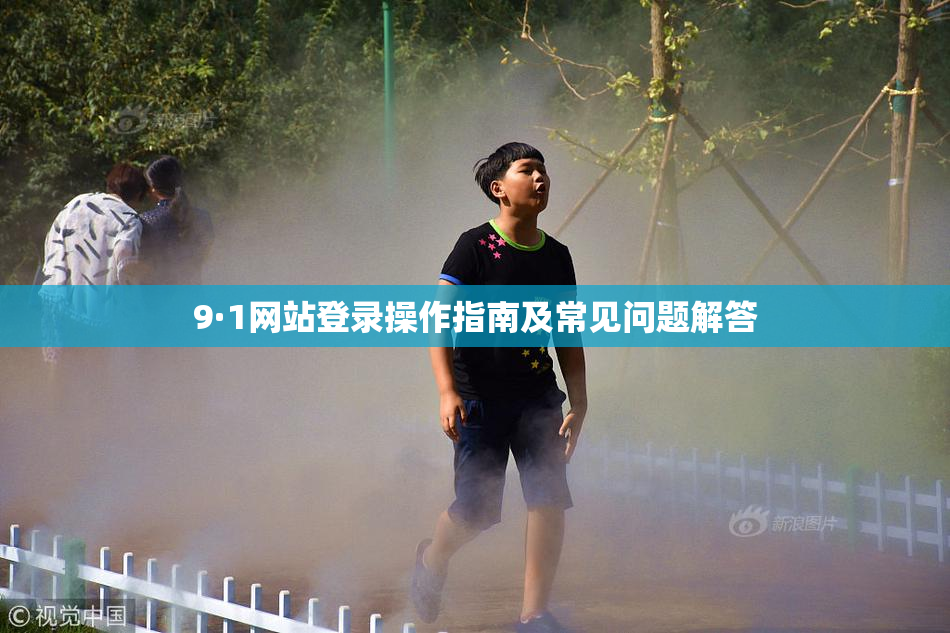 9·1网站登录操作指南及常见问题解答
