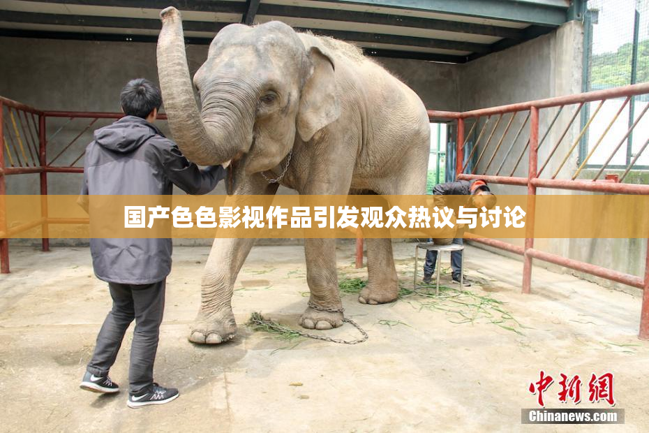 国产色色影视作品引发观众热议与讨论