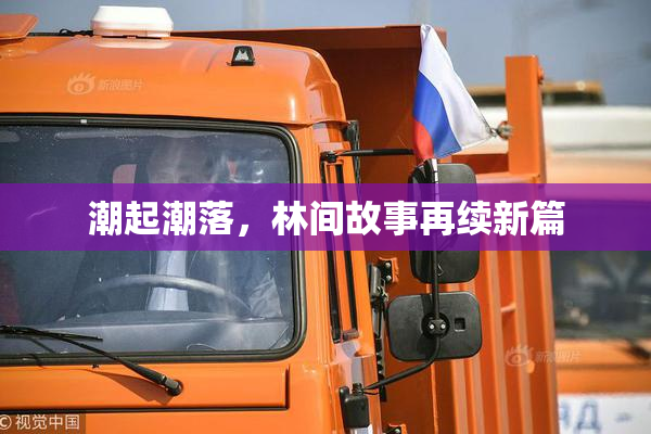 潮起潮落，林间故事再续新篇