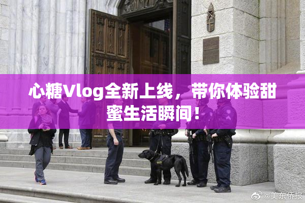 心糖Vlog全新上线，带你体验甜蜜生活瞬间！