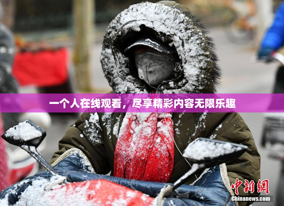 一个人在线观看，尽享精彩内容无限乐趣