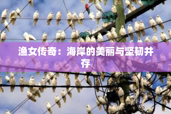 渔女传奇：海岸的美丽与坚韧并存