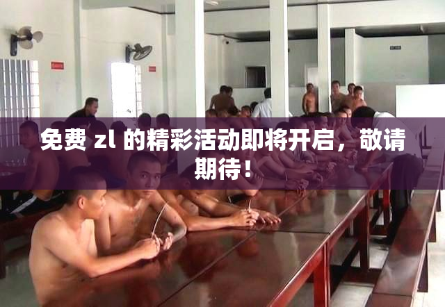 免费 zl 的精彩活动即将开启，敬请期待！