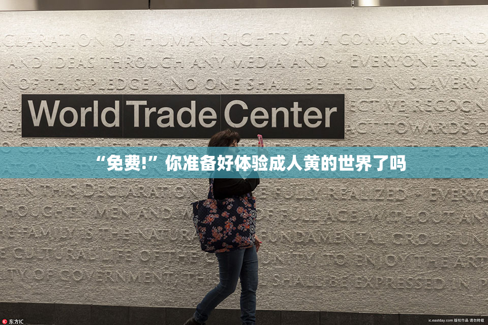 “免费!”你准备好体验成人黄的世界了吗