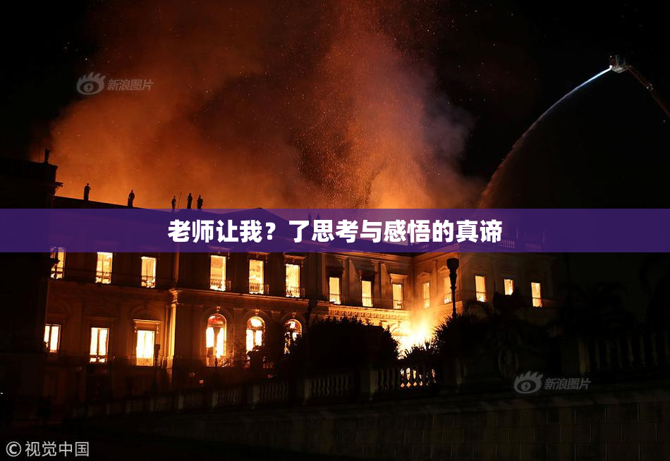 老师让我？了思考与感悟的真谛