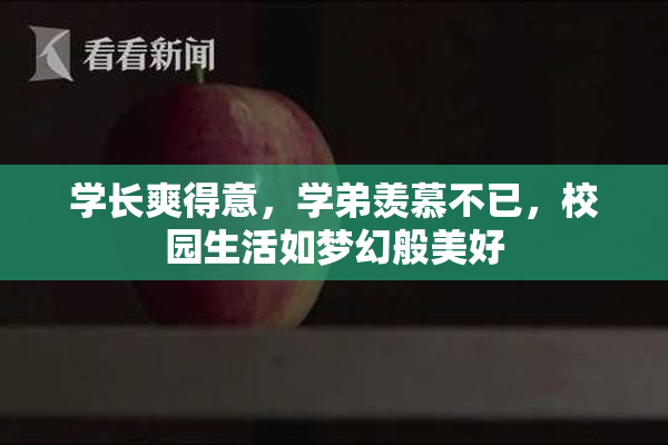 学长爽得意，学弟羡慕不已，校园生活如梦幻般美好