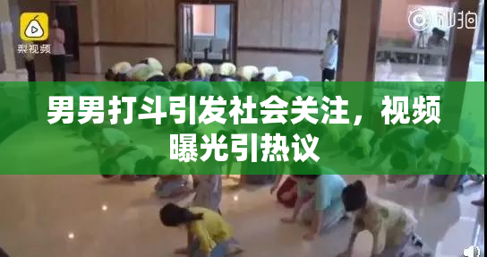 男男打斗引发社会关注，视频曝光引热议
