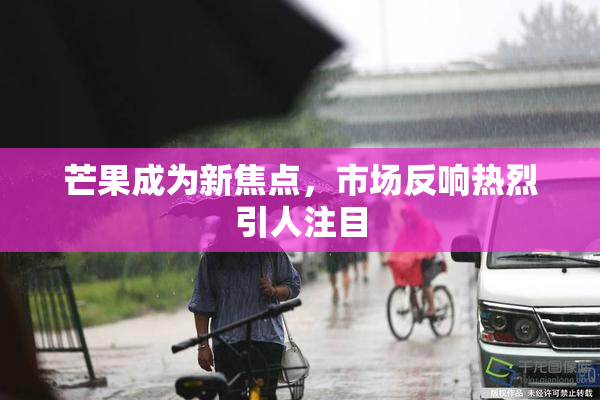 芒果成为新焦点，市场反响热烈引人注目