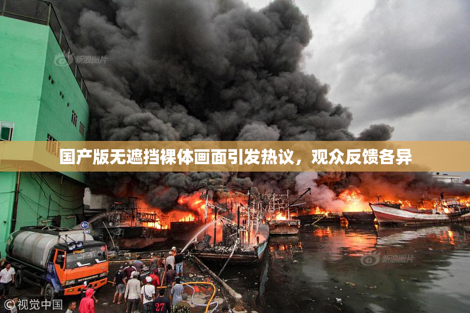 国产版无遮挡裸体画面引发热议，观众反馈各异