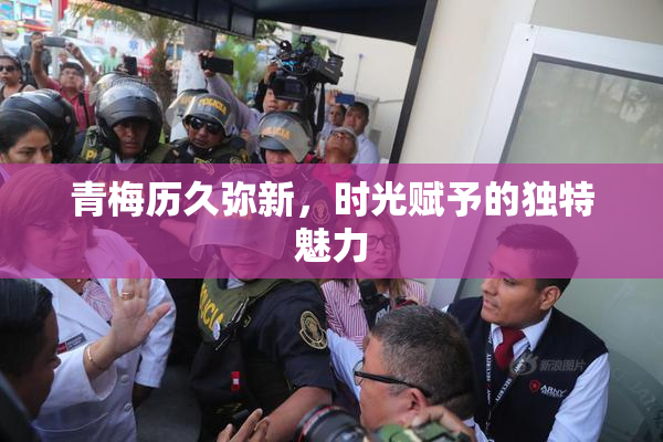 青梅历久弥新，时光赋予的独特魅力