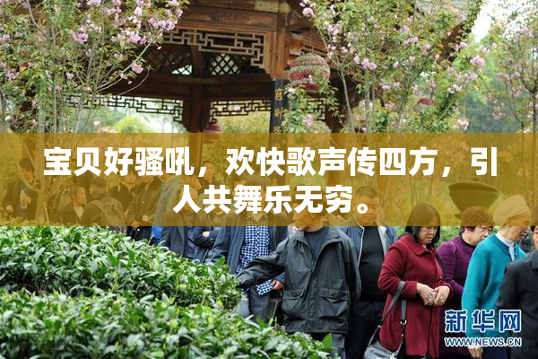 宝贝好骚吼，欢快歌声传四方，引人共舞乐无穷。