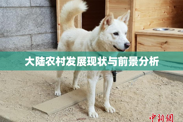 大陆农村发展现状与前景分析