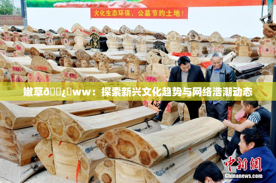 嫩草🌿‌ww：探索新兴文化趋势与网络浩潮动态