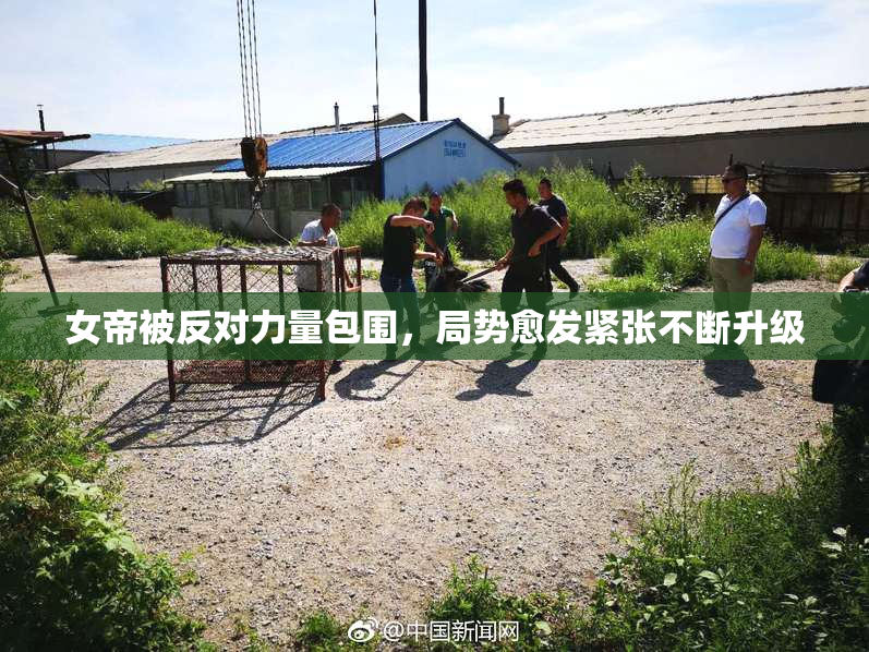 女帝被反对力量包围，局势愈发紧张不断升级