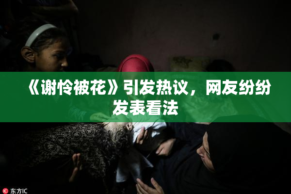 《谢怜被花》引发热议，网友纷纷发表看法