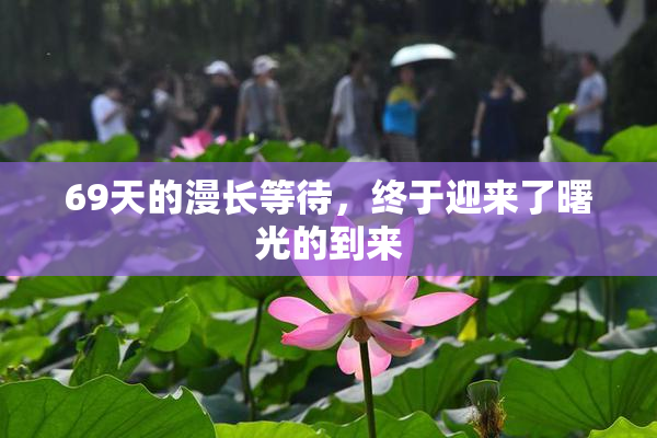 69天的漫长等待，终于迎来了曙光的到来