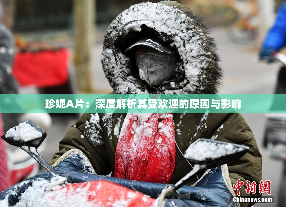 珍妮A片：深度解析其受欢迎的原因与影响