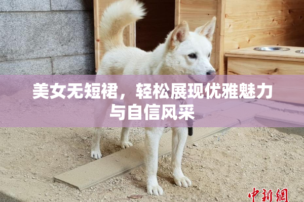 美女无短裙，轻松展现优雅魅力与自信风采