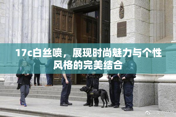 17c白丝喷，展现时尚魅力与个性风格的完美结合