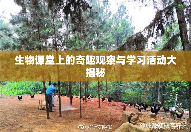 生物课堂上的奇趣观察与学习活动大揭秘