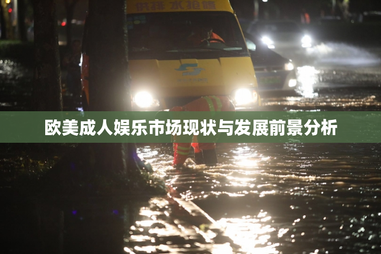 欧美成人娱乐市场现状与发展前景分析