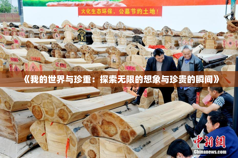 《我的世界与珍重：探索无限的想象与珍贵的瞬间》