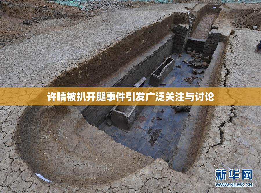 许晴被扒开腿事件引发广泛关注与讨论