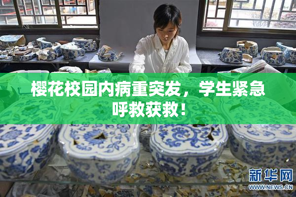 樱花校园内病重突发，学生紧急呼救获救！
