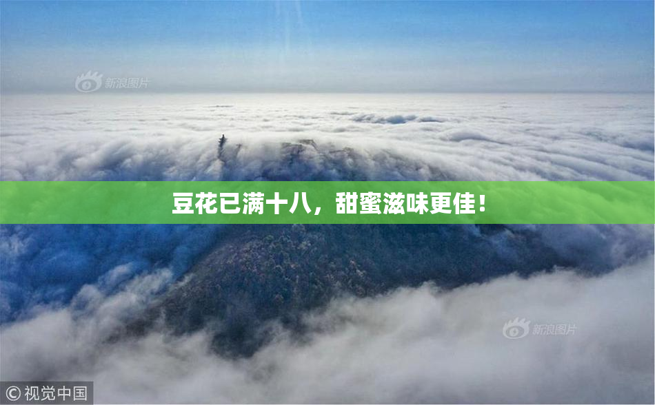 豆花已满十八，甜蜜滋味更佳！