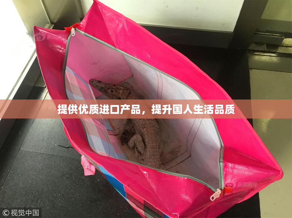 提供优质进口产品，提升国人生活品质