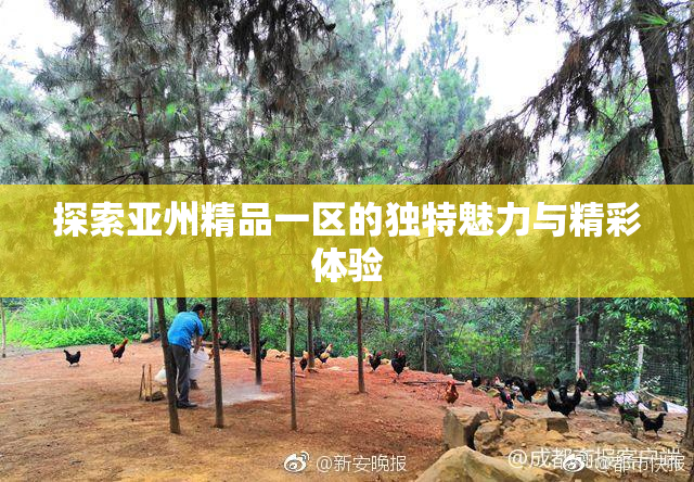 探索亚州精品一区的独特魅力与精彩体验